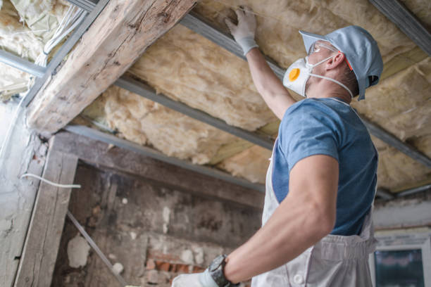 Best Insulation Installation Services in Newark, DE