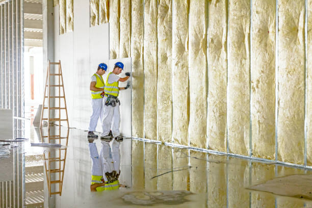 Types of Insulation We Offer in DE